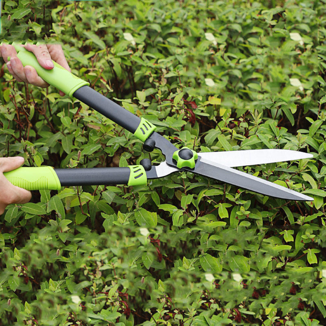 GreenForge Precision Hedge Shears